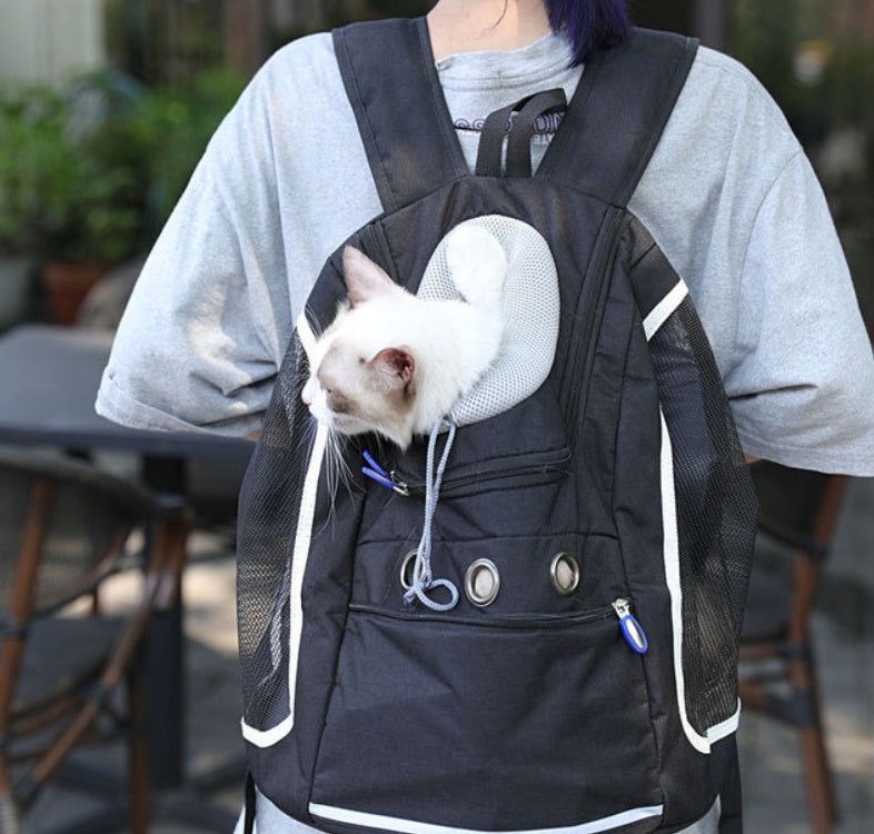 Portable Pet Outing Backpack Carry Bag