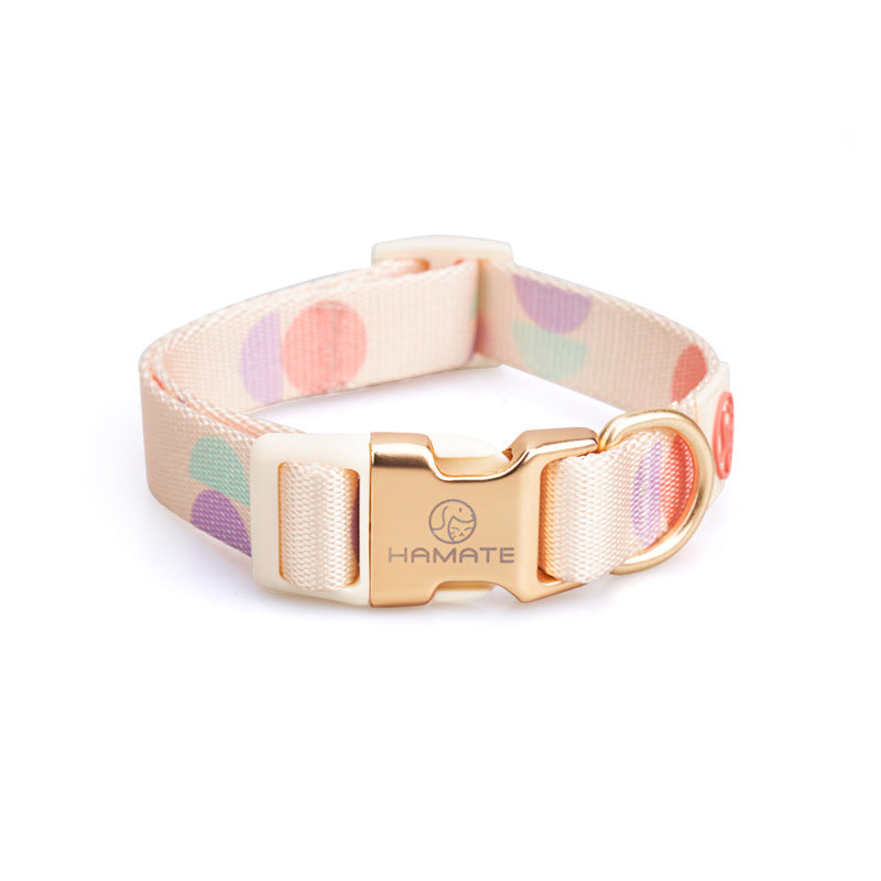 Fashion Y Shaped Chest Strap Pet Leash