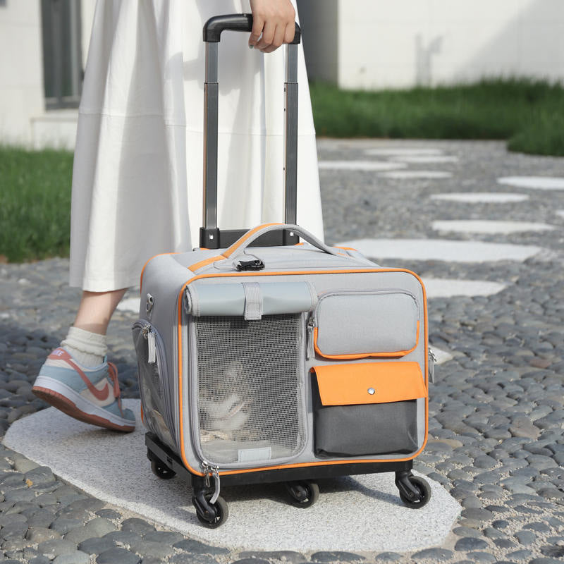 Anti-Stress Transparent Pet Trolley Backpack Bag