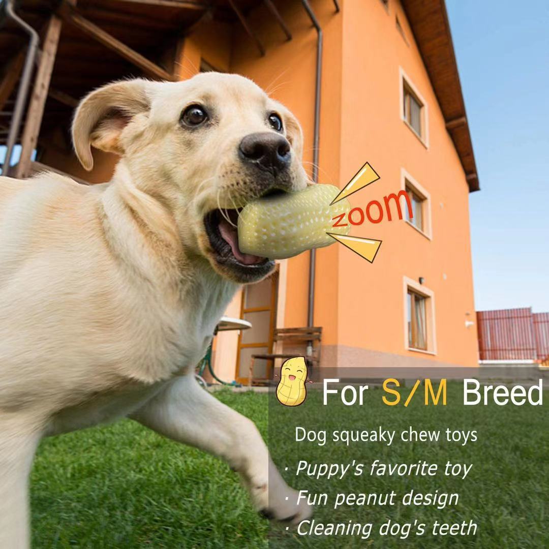 Squeaky Rubber Chew Toy For Small Pets