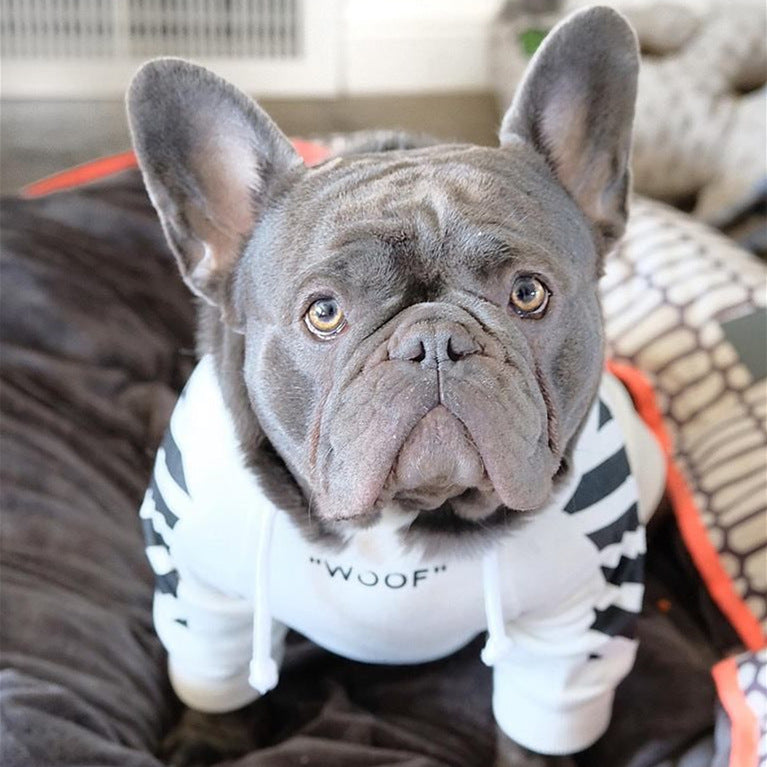 Three Stripe Fashion Pet Sweater Autumn Winter Apparel