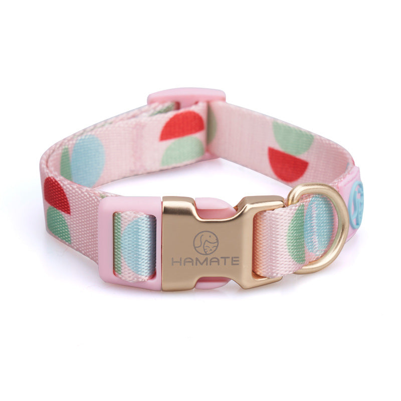 Fashion Y Shaped Chest Strap Pet Leash