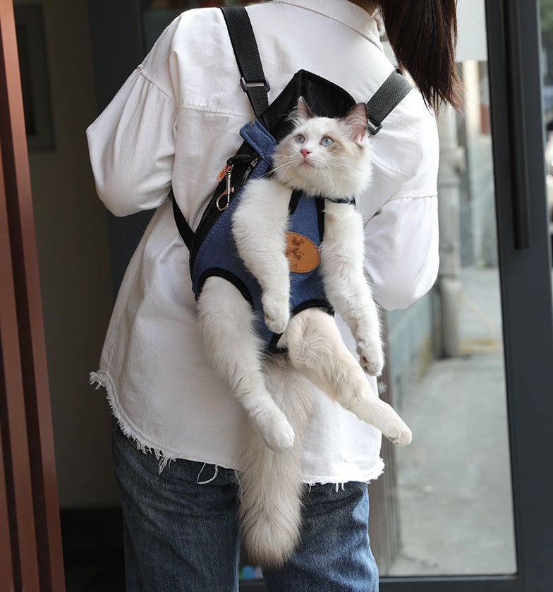 Portable Spring Outing Pet Backpack Carrier