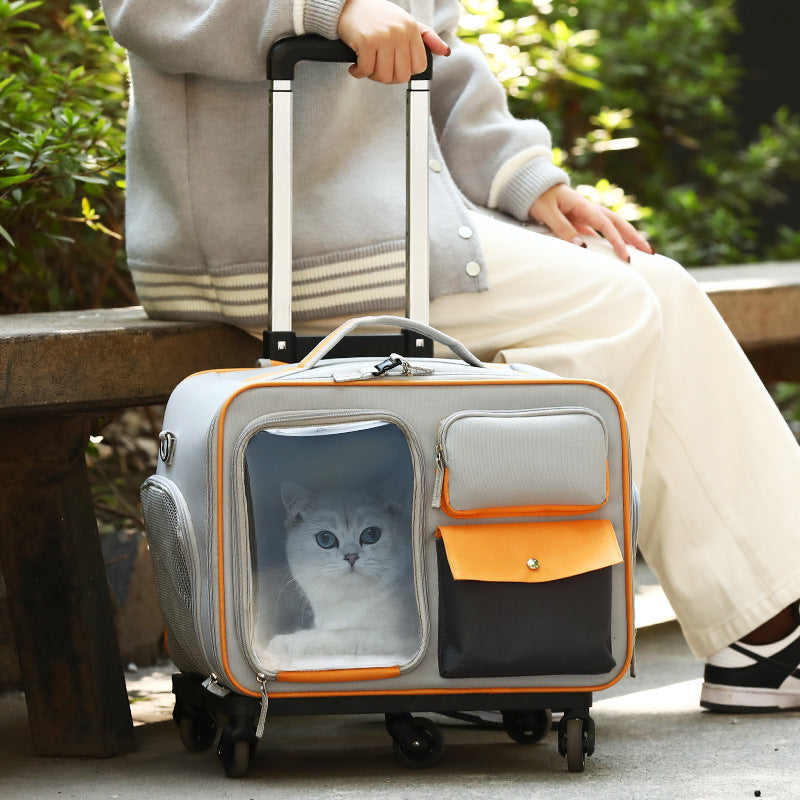 Anti-Stress Transparent Pet Trolley Backpack Bag