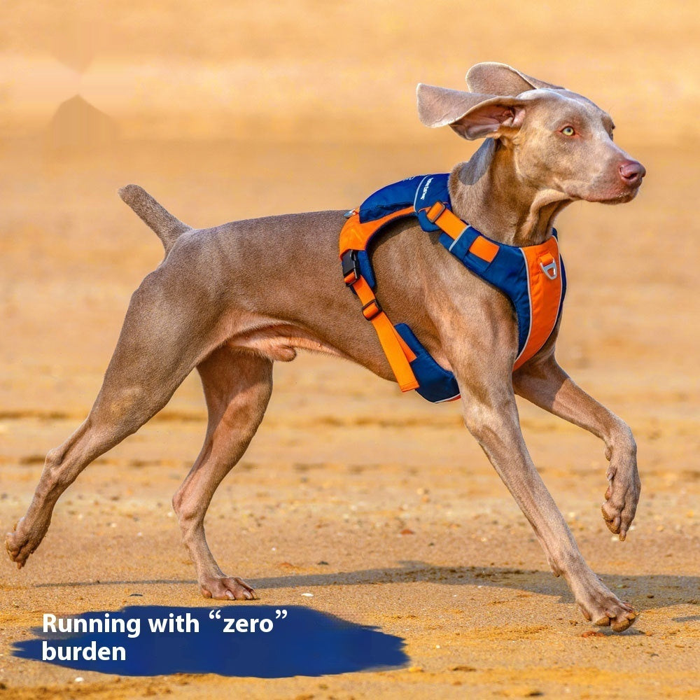 Pet Vest Style Chest Strap Walking Harness Leash