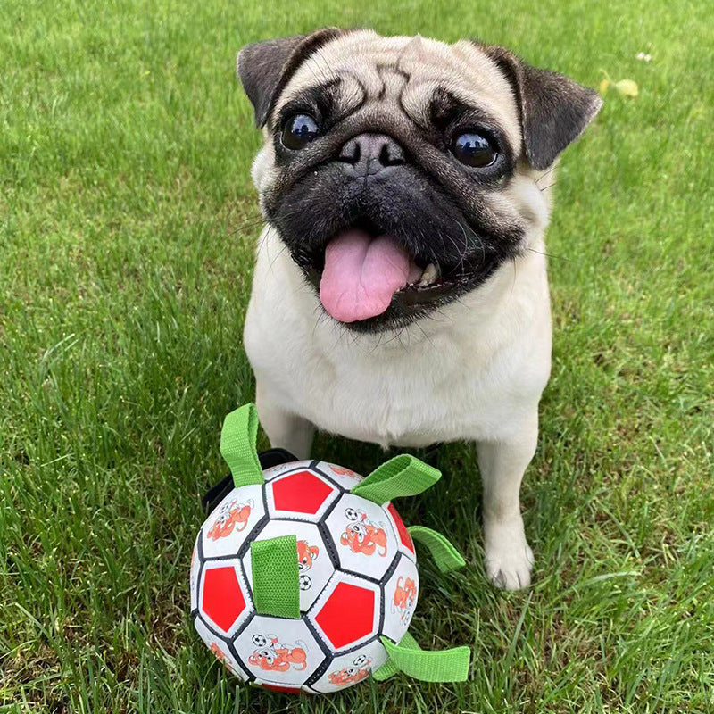 Bite-Resistant Dog Football Interactive Chew Toy