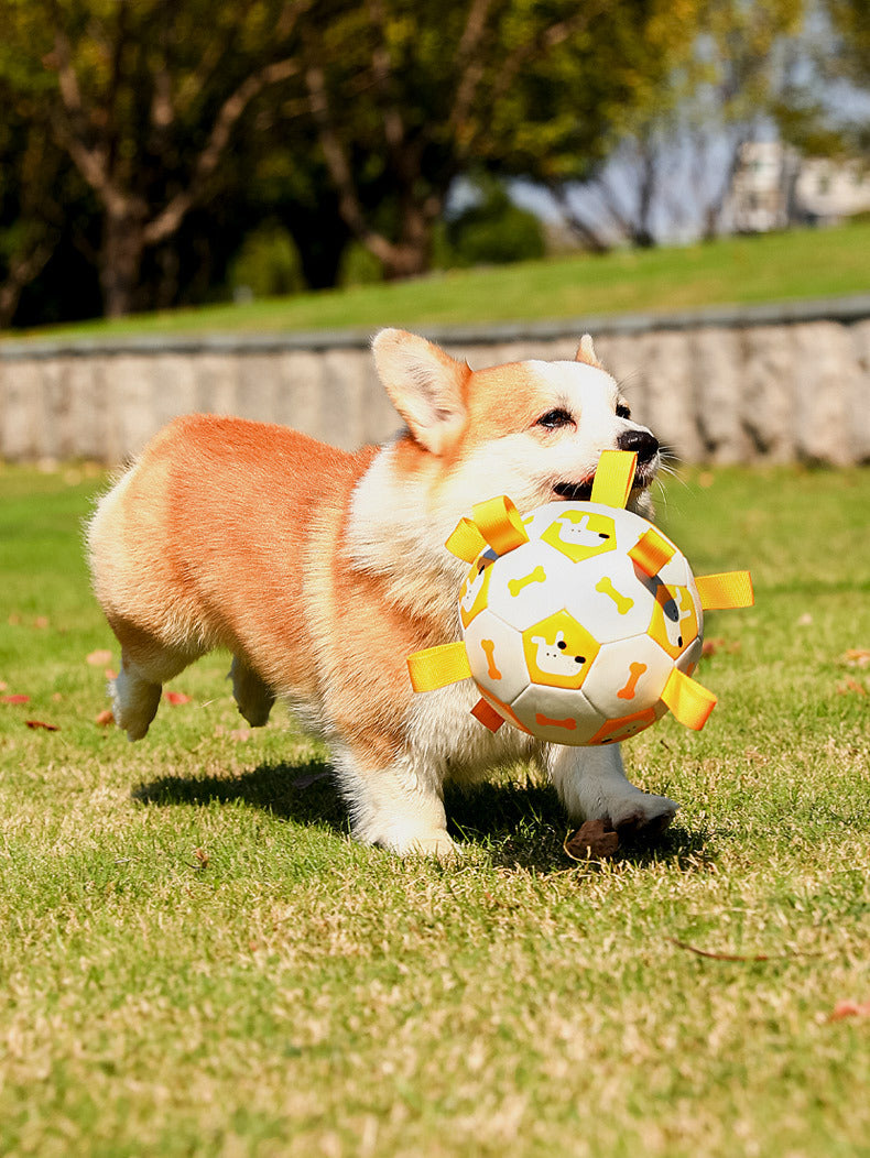 Interactive Football Pet Outdoor Chew Toy Durable Long Lasting