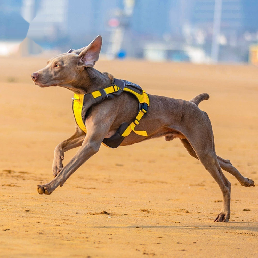 Pet Vest Style Chest Strap Walking Harness Leash