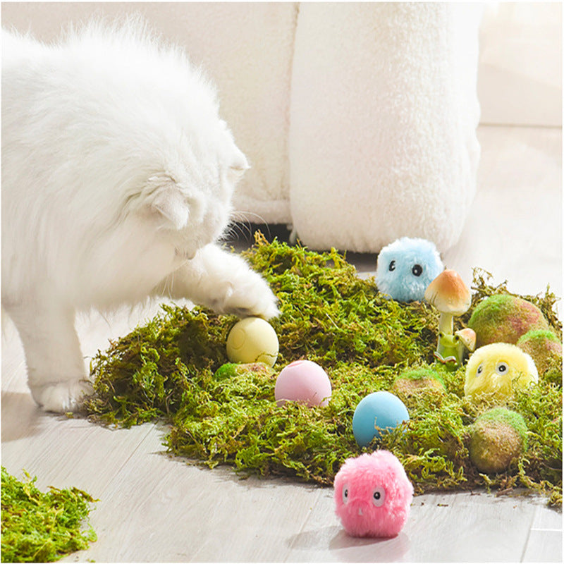 Light-Emitting Interactive Pet Teasing Ball Toy
