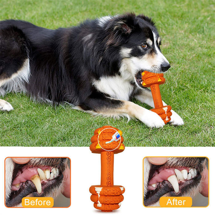 Durable Interactive Tooth Cleaning Chew Pet Toy