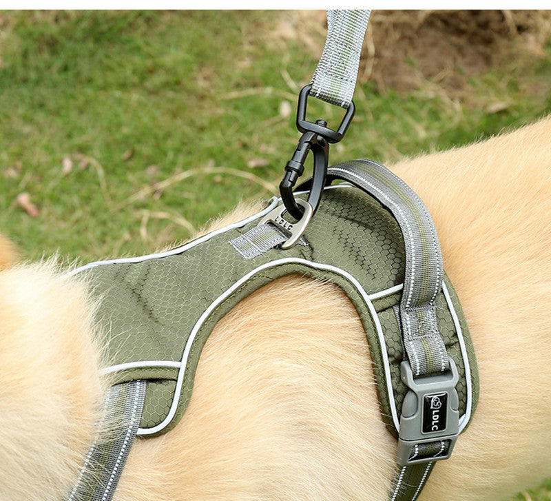 Fluorescent Explosion Proof Elastic Retractable Pet Leash
