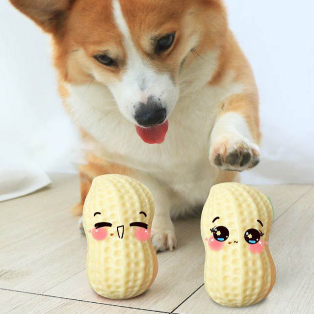 Squeaky Rubber Chew Toy For Small Pets