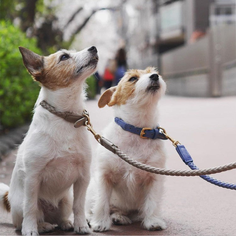 High End Large Pet Collar Sturdy Durable Pet Harness