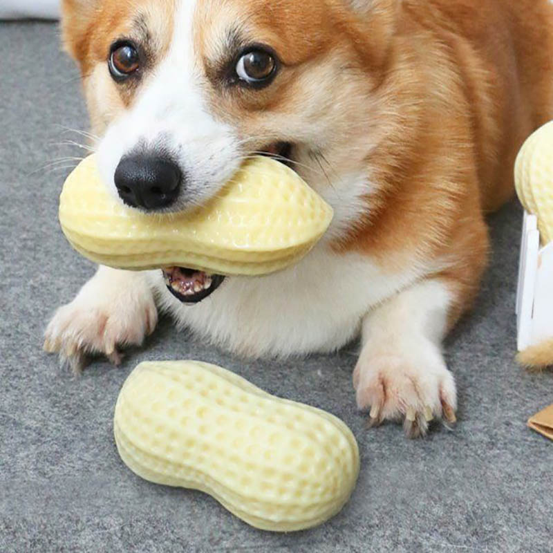 Squeaky Rubber Chew Toy For Small Pets