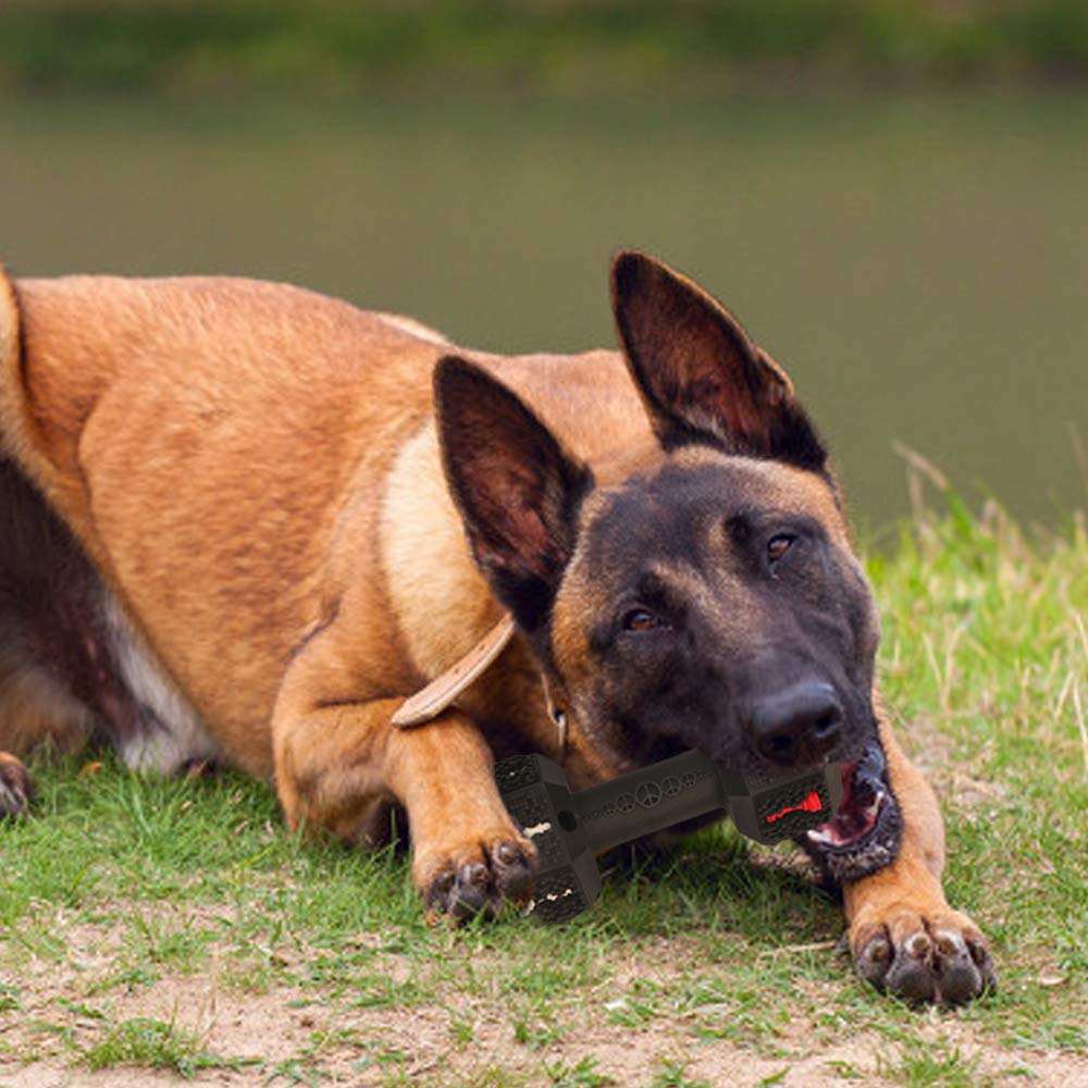 Durable Interactive Tooth Cleaning Chew Pet Toy