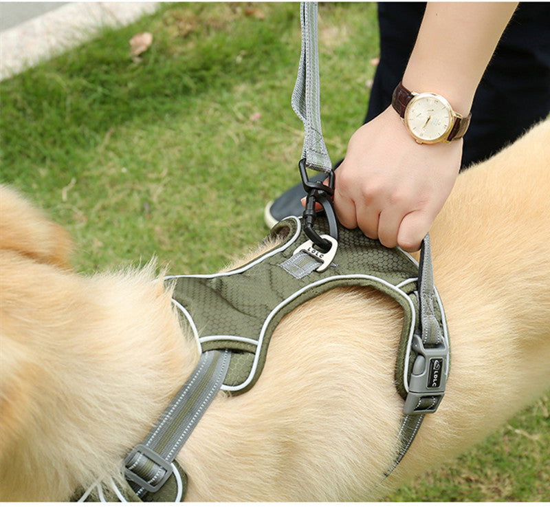 Fluorescent Explosion Proof Elastic Retractable Pet Leash