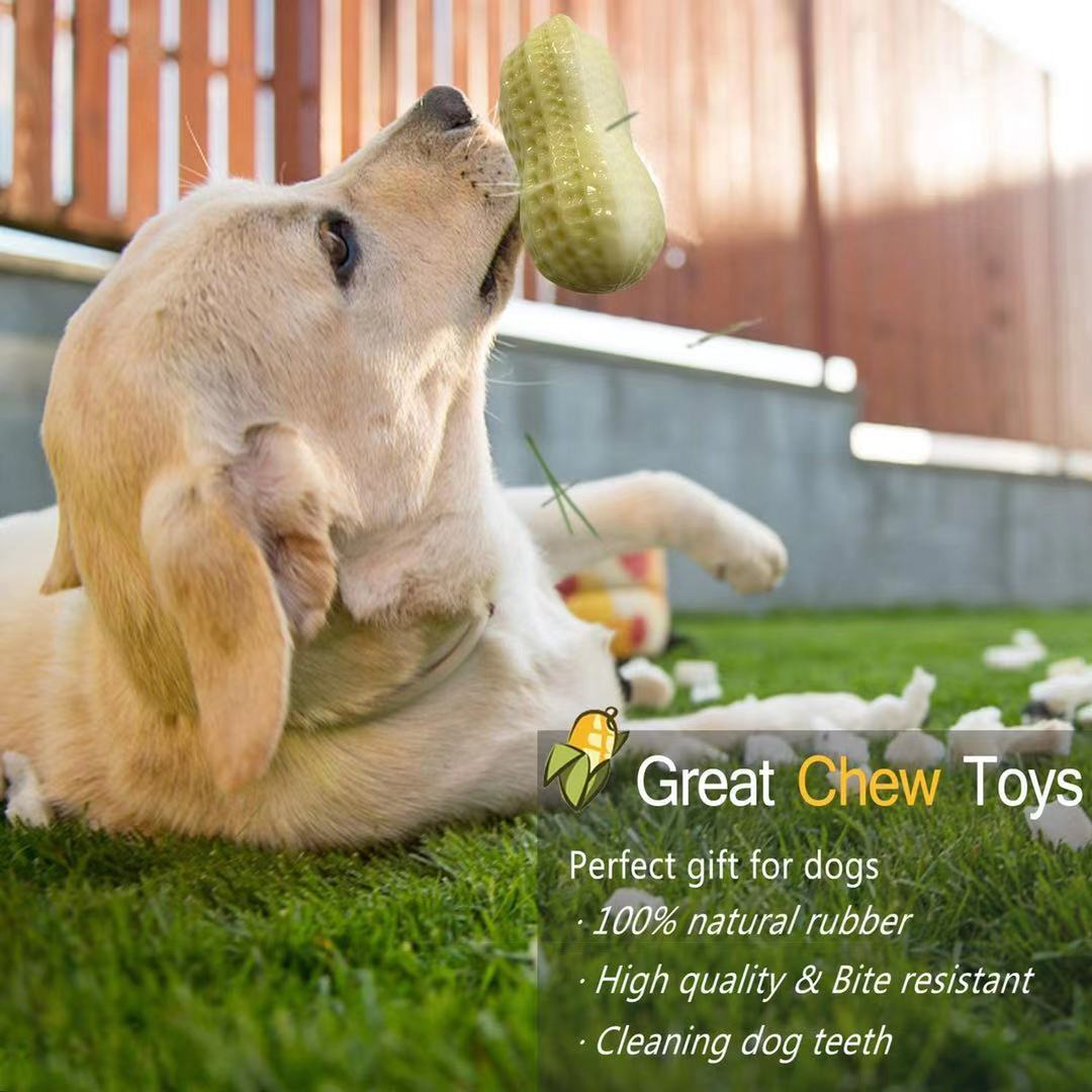 Squeaky Rubber Chew Toy For Small Pets