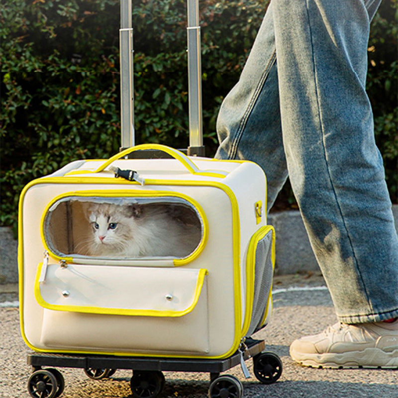 Anti-Stress Transparent Pet Trolley Backpack Bag