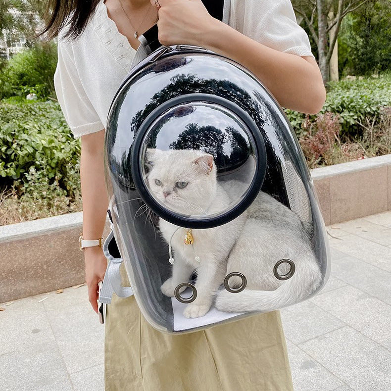 Large Capacity Transparent Breathable Pet Backpack Bag