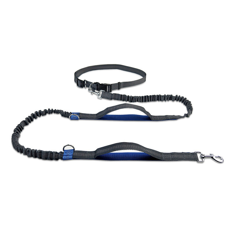 Multifunctional Running Reflective Double Telescopic Pet Leash Lead Rope Chain