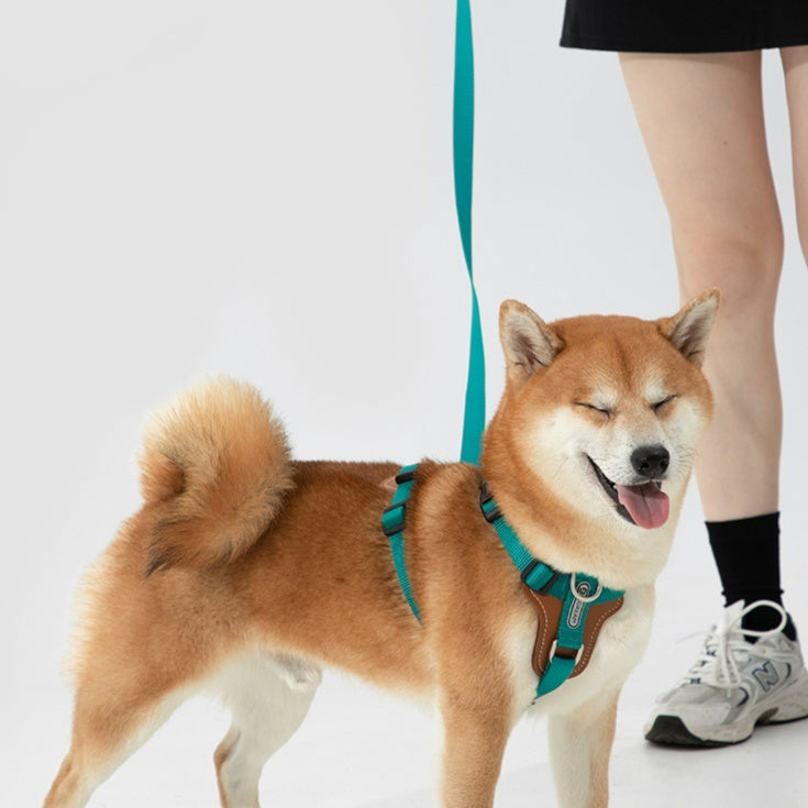 Pet Rope Leash Chest Strap Explosion Proof Walking Harness