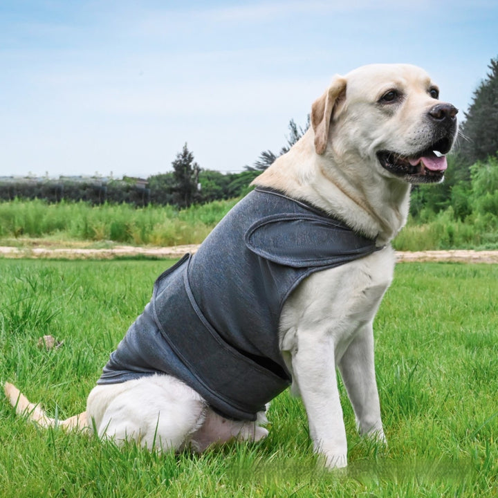 Pet Soothing Clothes For Separation Anxiety Relief Tank Top