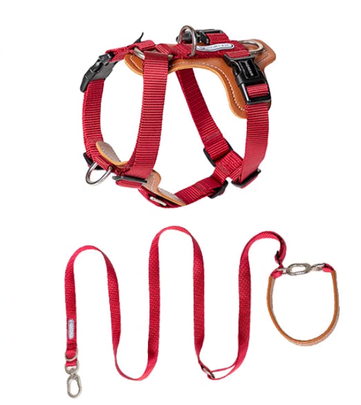Pet Rope Leash Chest Strap Explosion Proof Walking Harness