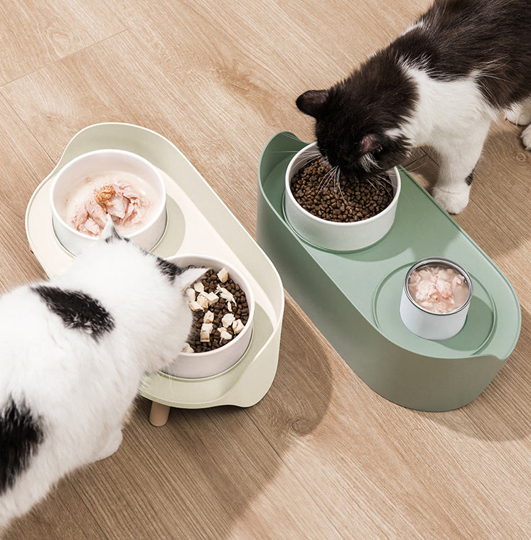 Tilted Double Bowl Adjustable Spill-Proof Pet Feeder Stand