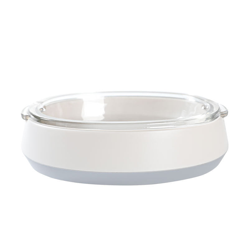 Dual Bowl Automatic Pet Food And Water Dispenser