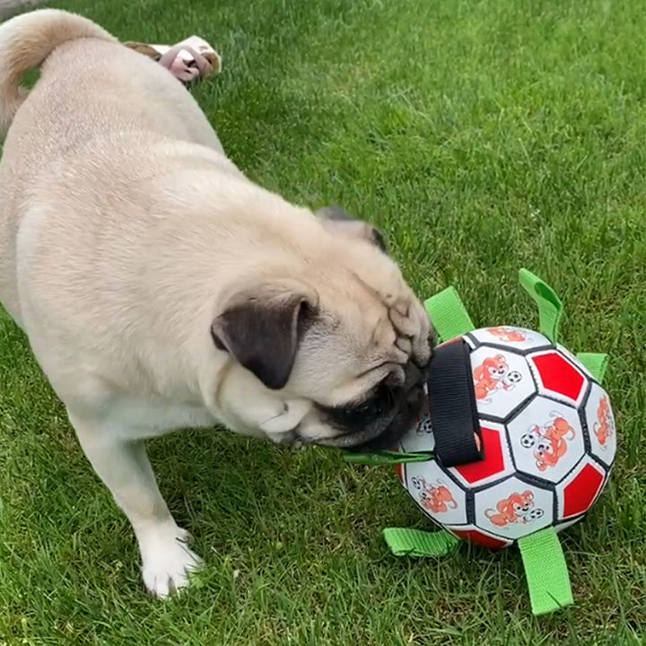 Bite-Resistant Dog Football Interactive Chew Toy