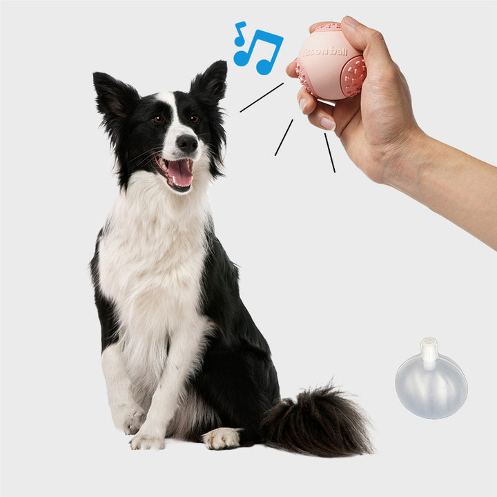 Durable Rolling Motion Interactive Pet Ball Toy