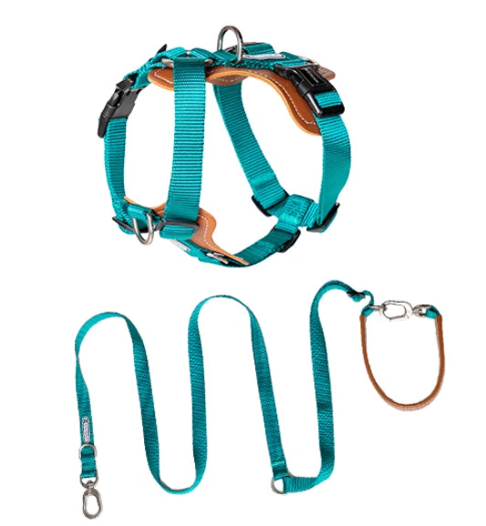 Pet Rope Leash Chest Strap Explosion Proof Walking Harness