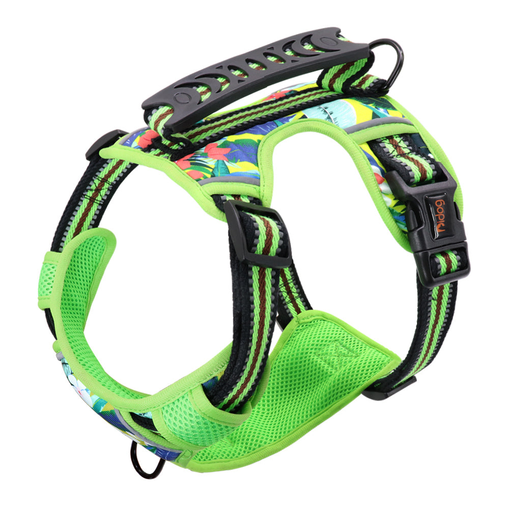 Small Medium Large Pet Leash Chest Harness
