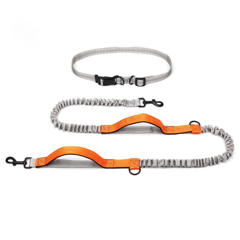 Multifunctional Running Reflective Double Telescopic Pet Leash Lead Rope Chain