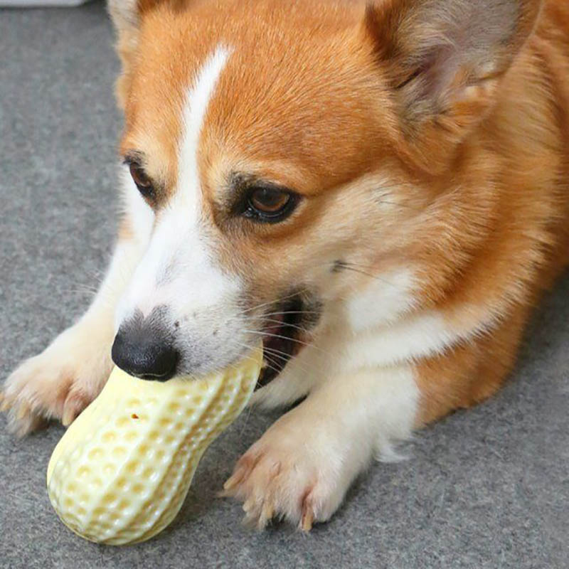Squeaky Rubber Chew Toy For Small Pets