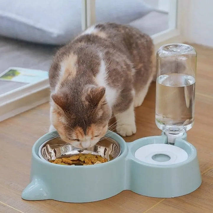 Automatic Pet Water Dispenser And Food Feeder Gravity Fountain System
