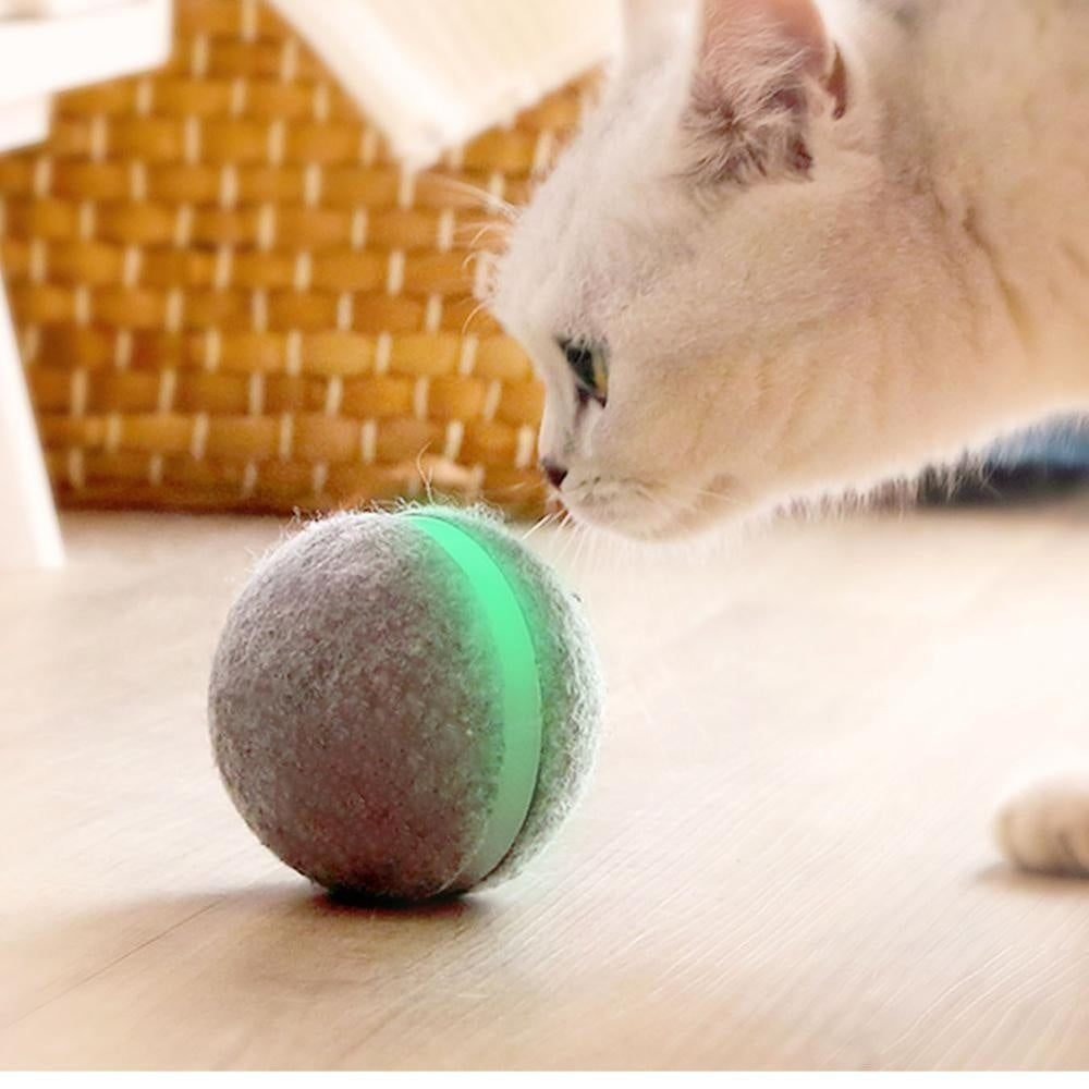Interactive Bouncing Ball Pet Toy