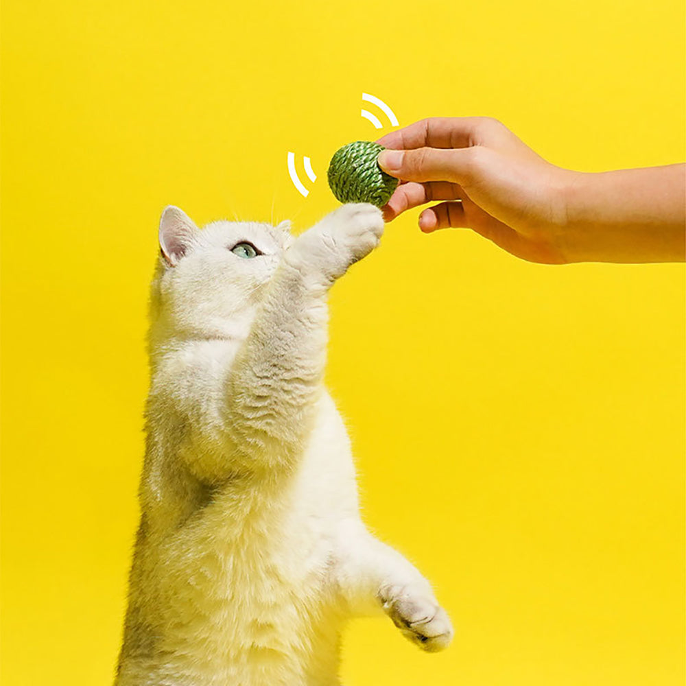 3PCS Sisal Rope Interactive Pet Chew Balls