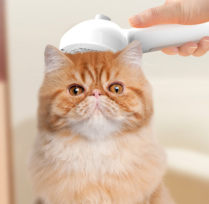 Pet Self Cleaning Grooming Comb Mist Hair Removal Brush