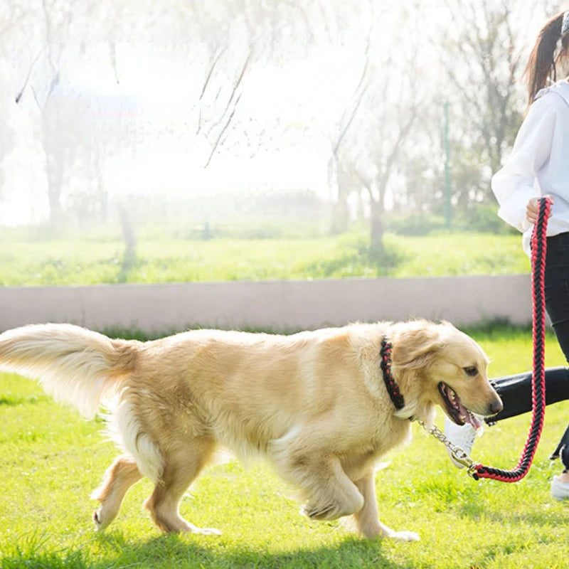 Heavy Duty Pet Nylon Braided Training Walking Leash