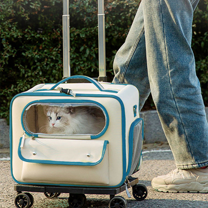Anti-Stress Transparent Pet Trolley Backpack Bag