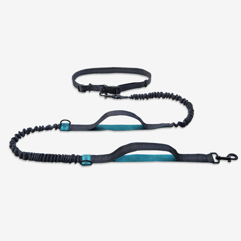 Multifunctional Running Reflective Double Telescopic Pet Leash Lead Rope Chain