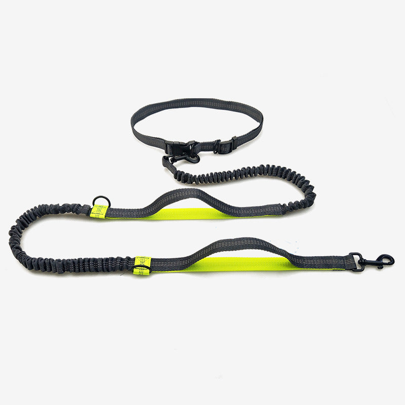 Multifunctional Running Reflective Double Telescopic Pet Leash Lead Rope Chain