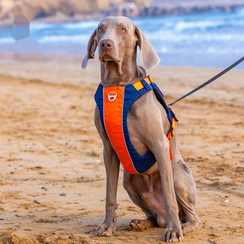 Pet Vest Style Chest Strap Walking Harness Leash