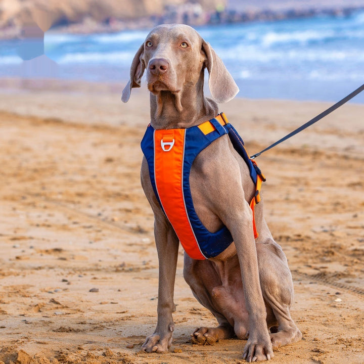 Pet Vest Style Chest Strap Walking Harness Leash