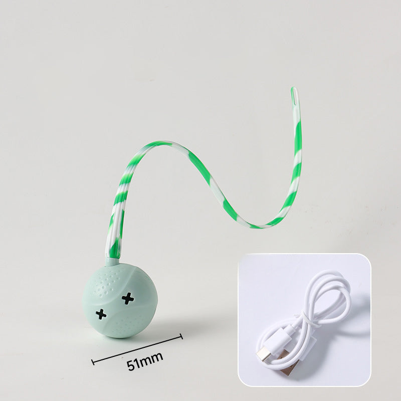 Interactive Electric Motion Sensor Pet Ball Toy