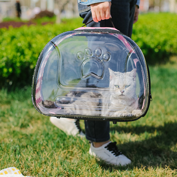 Portable Transparent Pet Backpack School Carrier Bag