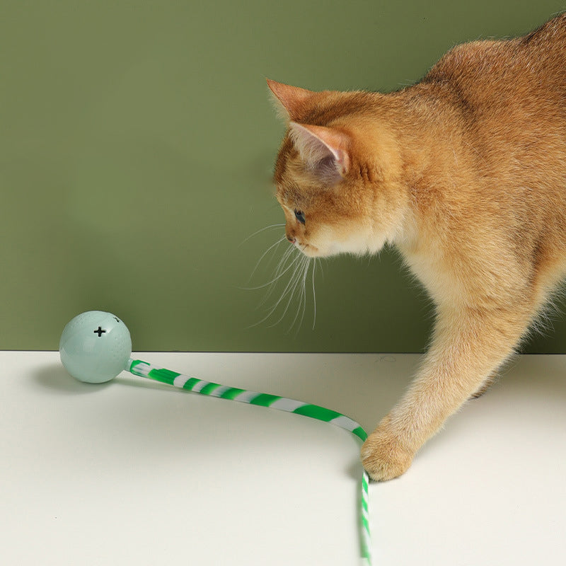 Interactive Electric Motion Sensor Pet Ball Toy