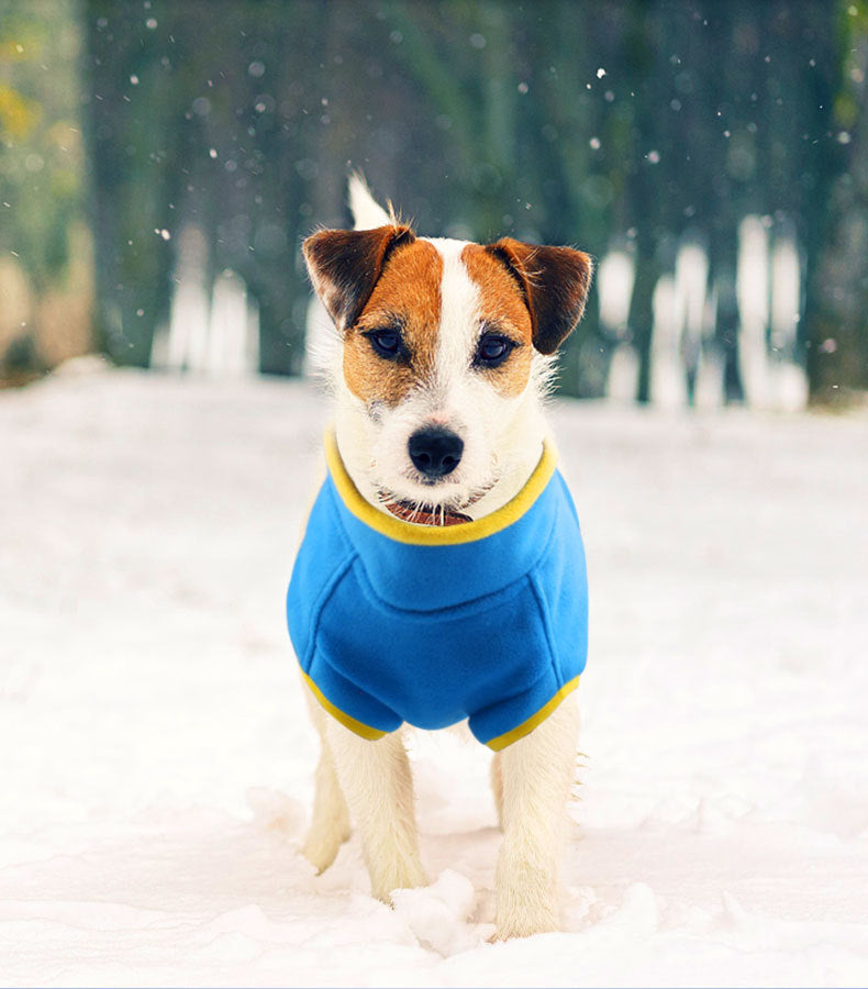 Pure Color Thick Polar Fleece Pet Sweater