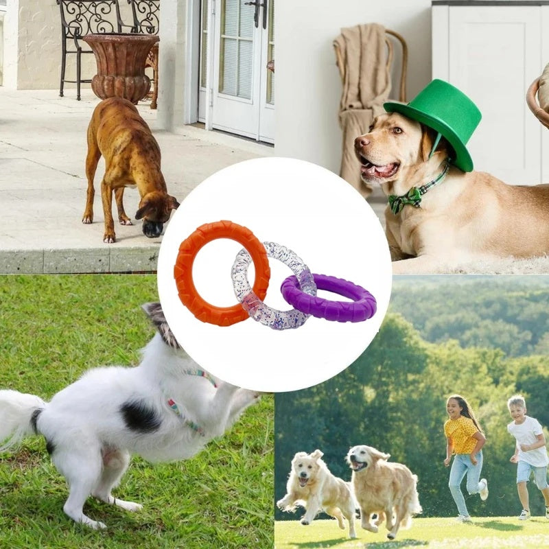 Floating Flying Disc Interactive Pet Chew Toy